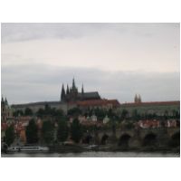 274_7449.JPG
